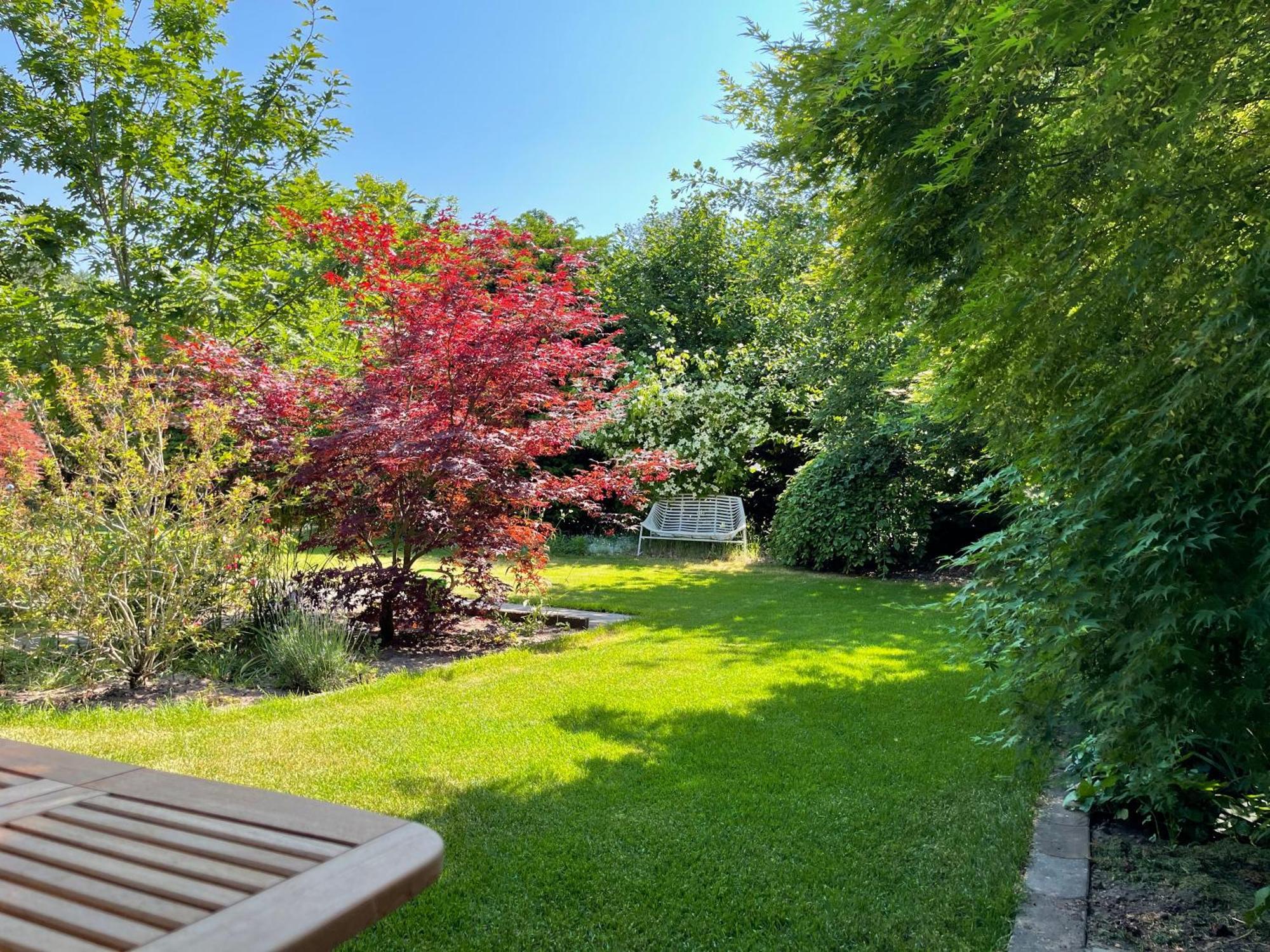 Ferienwohnung Zur Heide ライネ エクステリア 写真